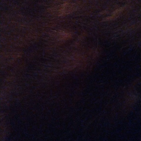 PRICE DROP!! Mink fur coat. Perfect condition. Small to medium. - Picture 6 of 13